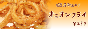 オニオン.PNGのサムネール画像