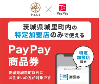 PayPay4.png