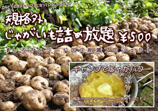 じゃがいも詰め放題.PNG