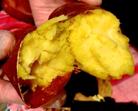 焼き芋.jpg