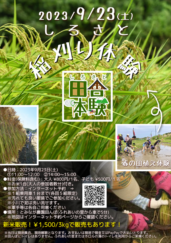 稲刈り体験６.PNG
