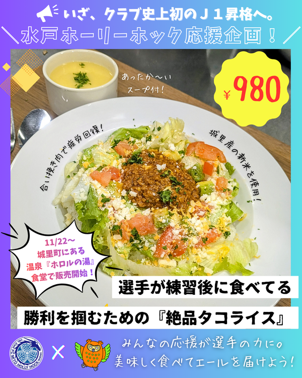 ホロル (宣伝用) (2).png