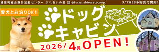 ドッグキャビンバナー.JPEG
